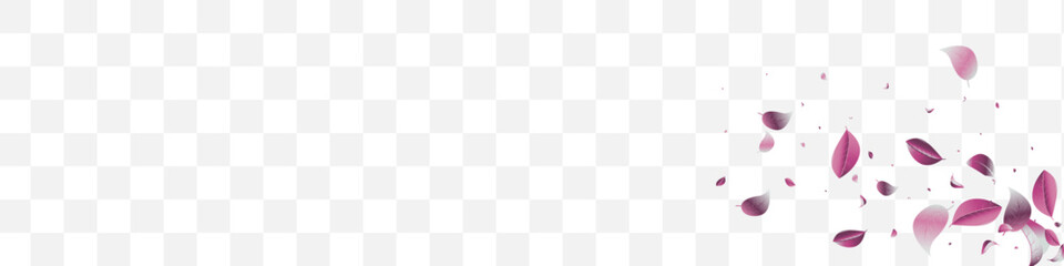 Forest Solar Blur Vector White Transparent