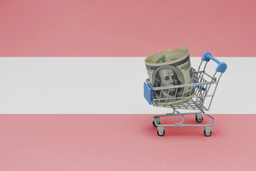 Metal shopping basket with dollar money banknote on the national flag of austria background. consumer basket concept. 3d illustration