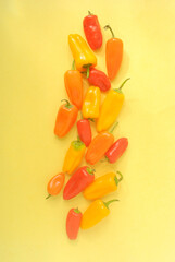 Color peppers in a yellow background 