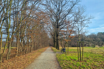 View of the empty trail on a sunny spring day.