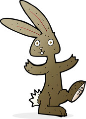 cartoon rabbit
