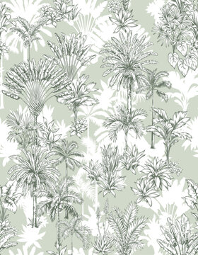Vintage seamless pattern with tropical palms. Trees in linear style. Vector botanical illustration. Foliage design for wallpaper, textile and wrapping paper. © Anna Sm