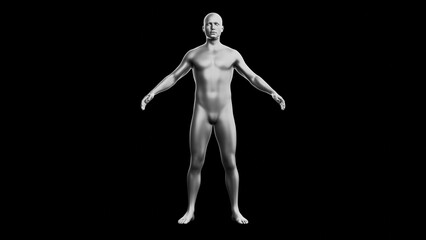 Beautiful young man posing, isolated on black background. 3d illustration (rendering). Silver mannequin, android