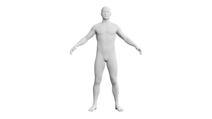 Beautiful young man posing, isolated on white background. 3d illustration (rendering). Artificial intelligence, android, mannequin