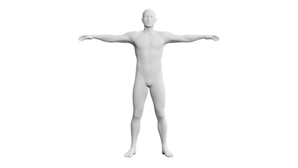 Beautiful young man posing, isolated on white background. 3d illustration (rendering). Artificial intelligence, android, mannequin