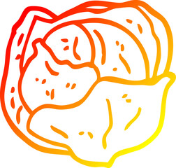 warm gradient line drawing cartoon cabbage