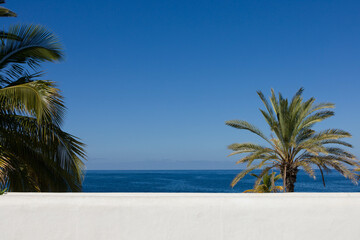 Palm trees on Tenerife in front of a sunny blue sky without clouds and a white wall