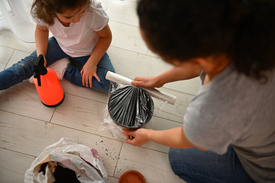 Top view of a woman florist covering pot with planted seeds with a film to create a greenhouse thermal effect. Mummy and little daughter enjoying floricultural hobby together at springtime, indoors