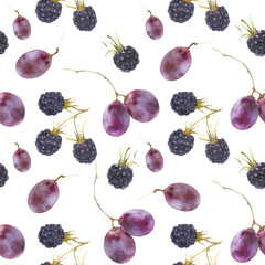 Modern watercolor botanical illustration. Grape and blackberry