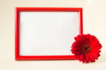 Empty photo frame with red gerbera daisy flower on pastel beige background.  Picture frame mockup with flower, copy space.