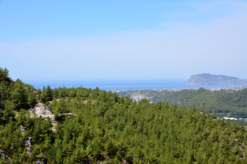 Fototapeta na wymiar A view of the sea from the top of a mountain with spruce forest 