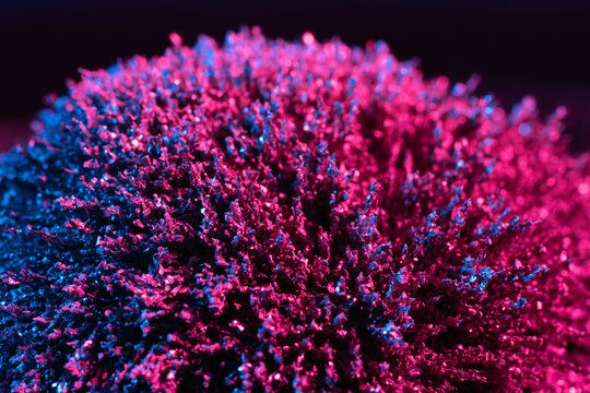 Ferrofluid illuminated with neon light