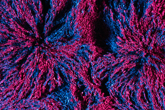Ferrofluid illuminated with neon light
