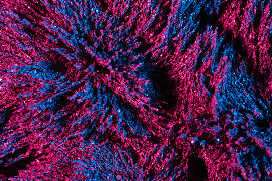 Ferrofluid illuminated with neon light