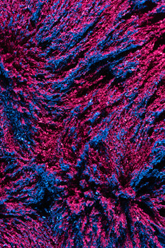 Ferrofluid illuminated with neon light