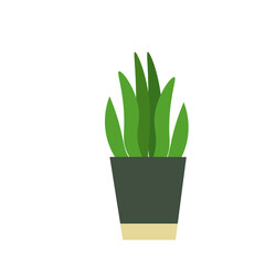 House Plant Element