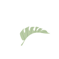Tropical Leaf Element