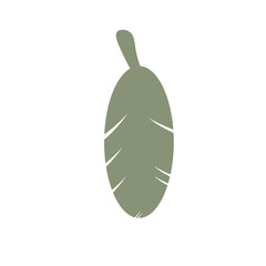 Tropical Leaf Element