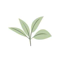 Tropical Leaf Element