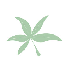 Tropical Leaf Element