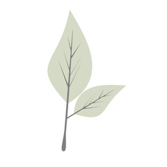 Tropical Leaf Element