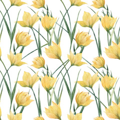 Watercolor seamless pattern Yellow Woodland Tulip flowers and leaves