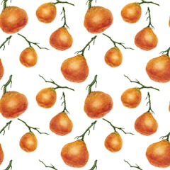 Tangerine seamless pattern