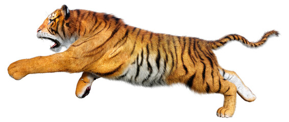 3D Rendering Big Cat Tiger on White