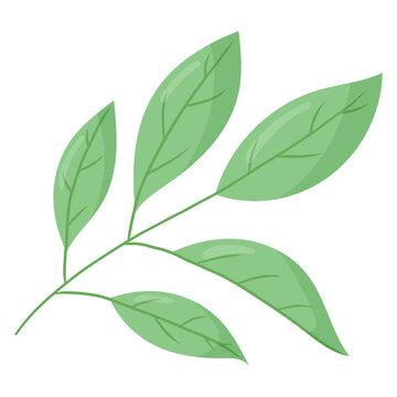 Twig with green leaves. Vector isolated cartoon illustration.