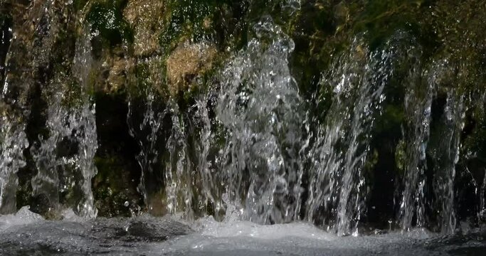 Lunaret Nature reserve, Montpellier, H&eacute;rault department, Occitan, France. The river Lez
