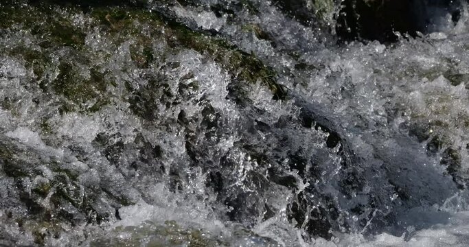 Lunaret Nature reserve, Montpellier, H&eacute;rault department, Occitan, France. The river Lez