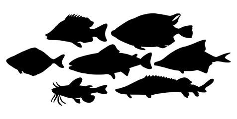 Vector silhouettes of sea and river fish