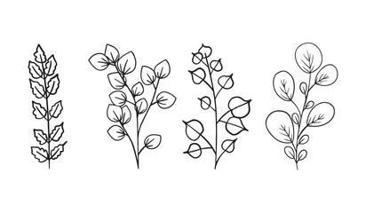 Botanical elements - branches with leaves, black outline illustration on white