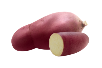 One large whole pink sweet potato fruit and half isolated on transparent background. Autumn vegetable element for food packaging design. Organic farming yam cutaway. Harvest fair. Trendy healthy food