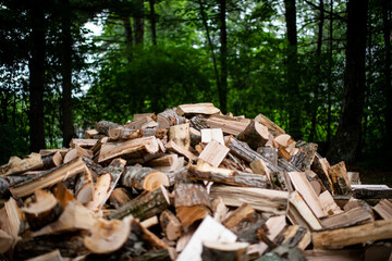 Wood pile