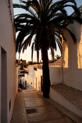The Oudaya Kasbah is a haven of tranquility, with its flower-filled little streets, Andalusian...