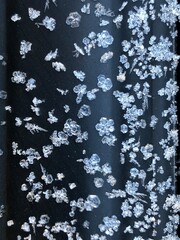 Snowflakes Close Up
