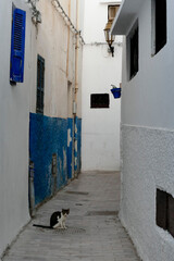 The Oudaya Kasbah is a haven of tranquility, with its flower-filled little streets, Andalusian...