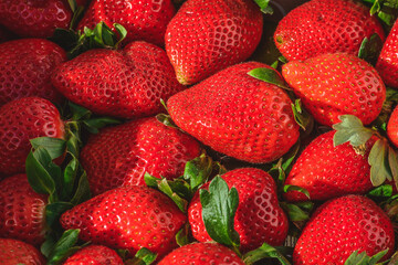 Fresh ripe big red strawberries fruit with green leaves in a street food market, close up