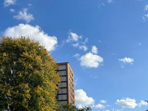 Building between a green tree and a blue bright sky