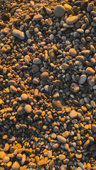 yellow pebbles on the beach
