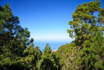Fototapeta na wymiar Scenic view from Tamadaba mountains, Gran Canary, Spain