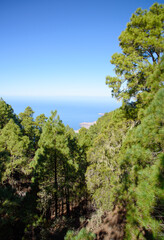 Scenic view, Gran Canaria, Spain