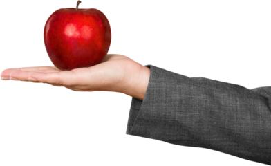 Woman hand holding big red apple isolated on white background