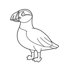 Easy coloring cartoon vector illustration of a puffin