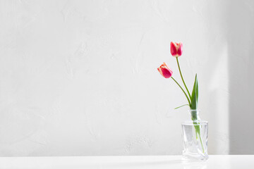 tulips in glass vase on white background