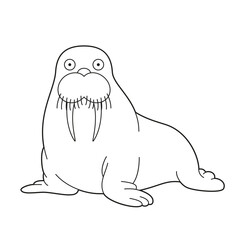 Fototapeta premium Easy coloring cartoon vector illustration of a walrus
