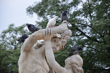 Birds sitting on a sculpture in the park