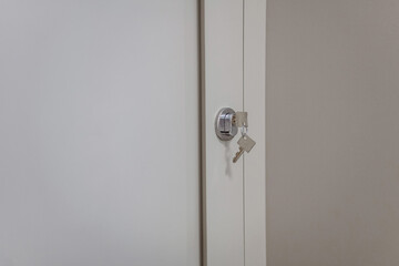 Detail of an internal door lock, super discreet and recessed.
