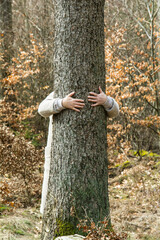 Waldbaden - Symbolfoto